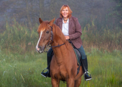 Pferde-Shooting im Morgennebel